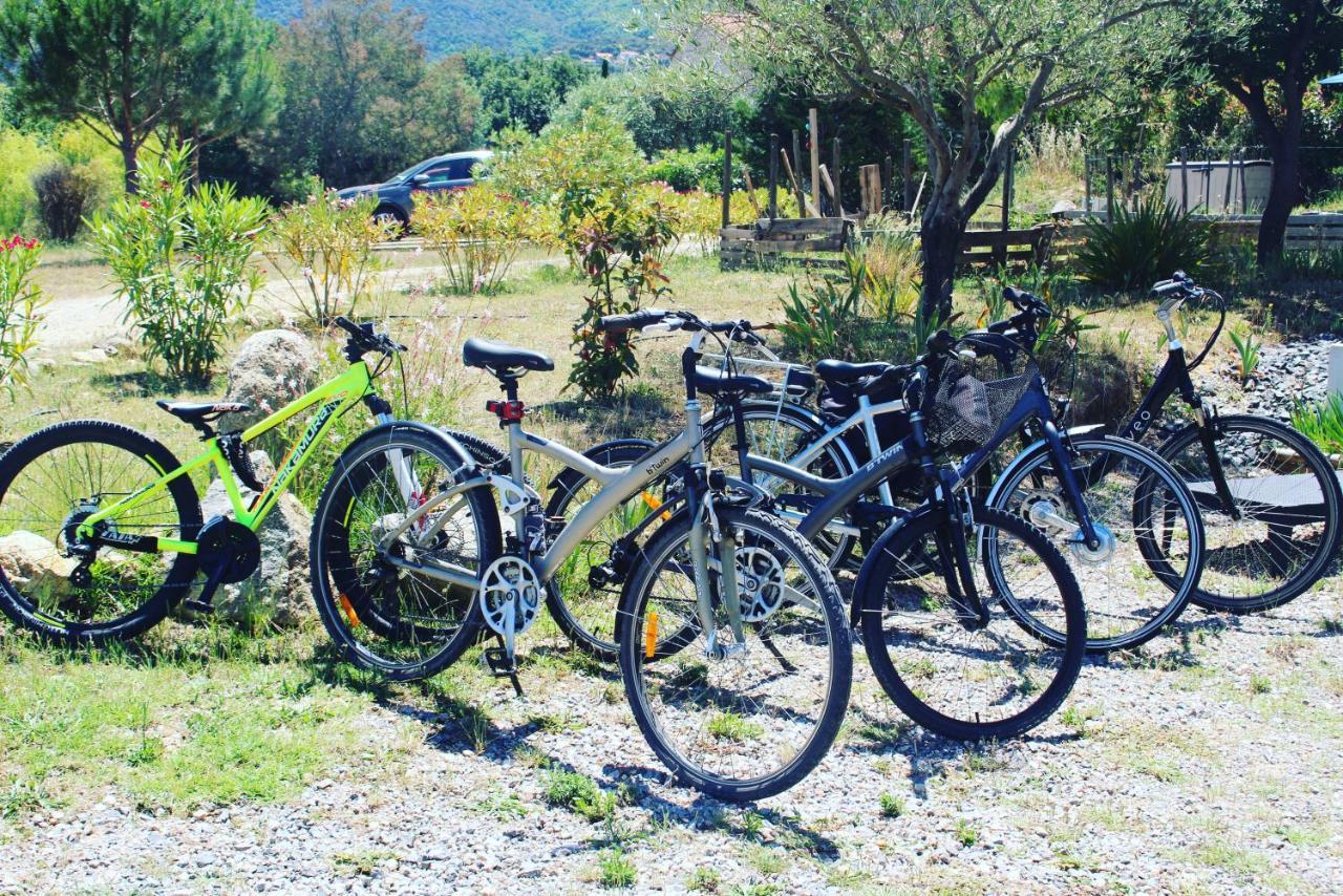 Domaine Pedra Llampada Gite Mer Villelongue-dels-Monts Bagian luar foto