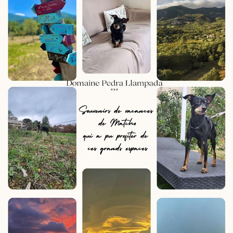 Domaine Pedra Llampada Gite Mer Villelongue-dels-Monts Bagian luar foto