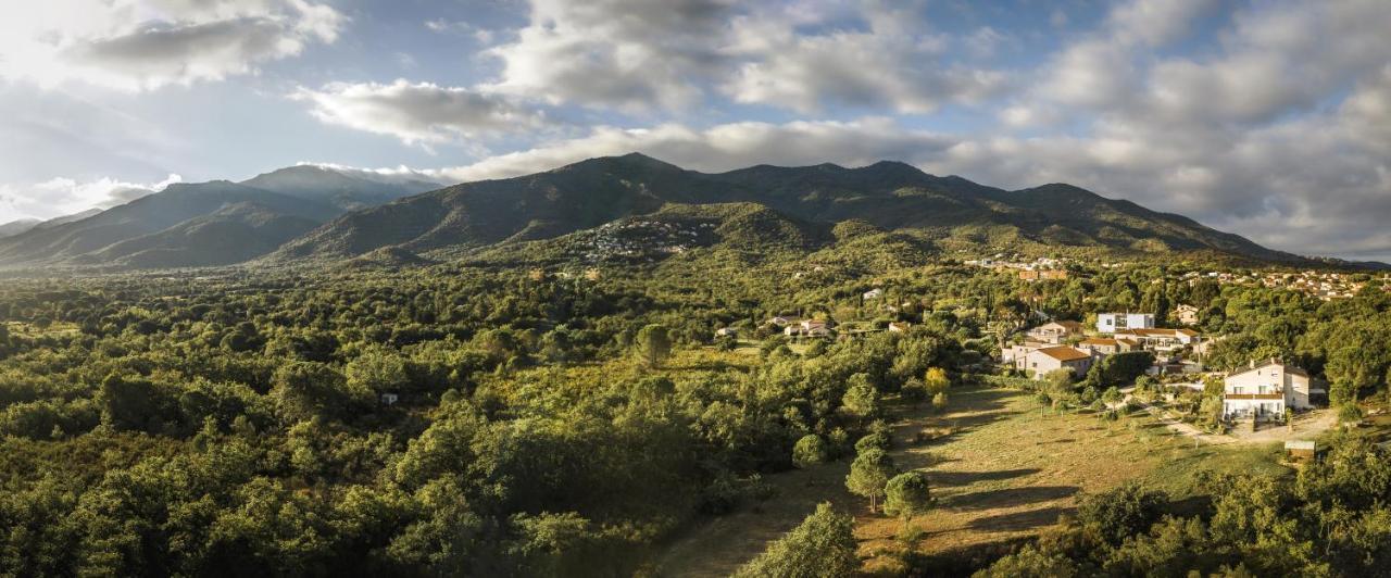 Domaine Pedra Llampada Gite Mer Villelongue-dels-Monts Bagian luar foto